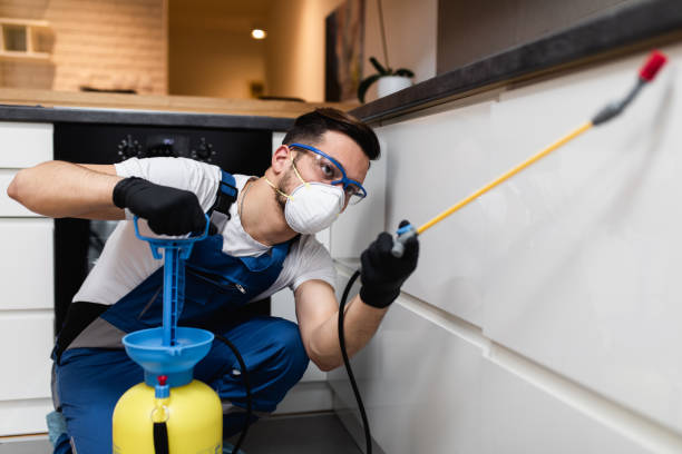 Flea Control Services in Chesapeake, OH